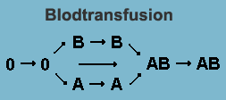 Blodtransfusion