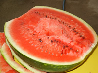 Vattenmelon