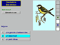 Vocabulaire